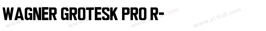 Wagner Grotesk Pro R字体转换